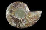 Agatized Ammonite Fossil (Half) - Madagascar #83845-1